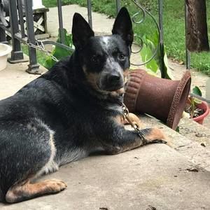 Meet your Posher, Greg